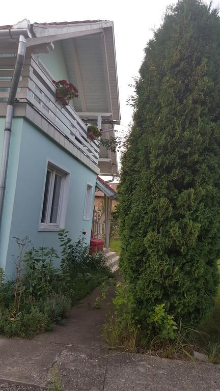 Casa Cristina Villa Sovata Exteriör bild