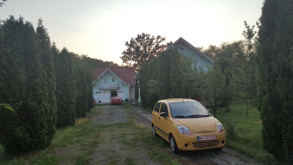 Casa Cristina Villa Sovata Exteriör bild